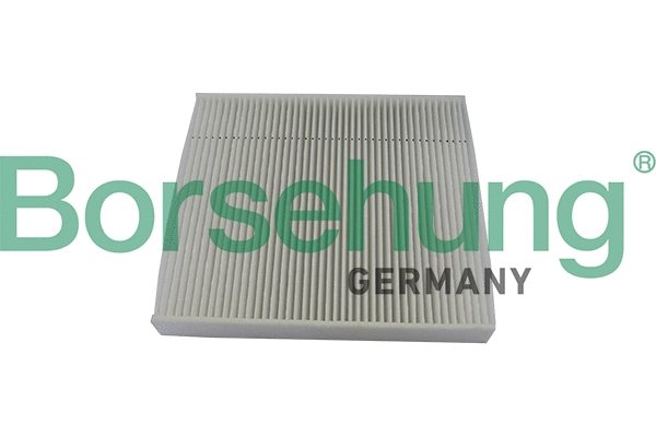 Filter, cabin air (B10529)