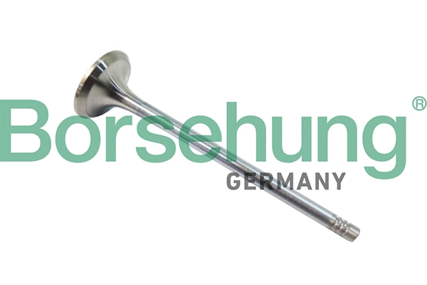 Exhaust Valve (B10321)