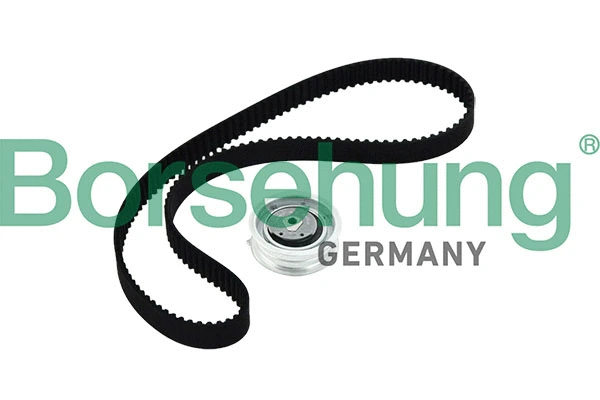 Timing Belt Kit (B10219)