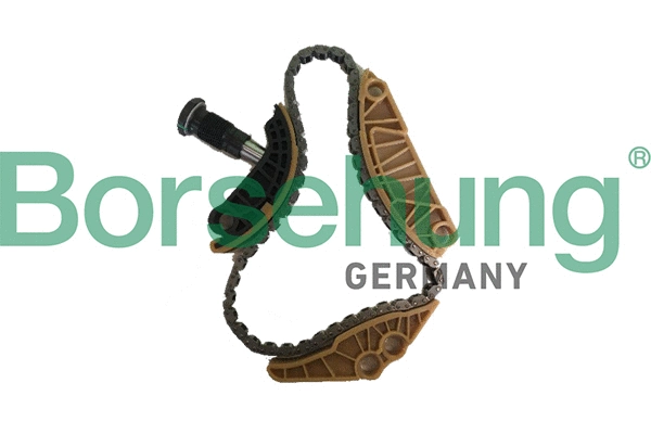 Chain Kit, oil pump drive (B18779)