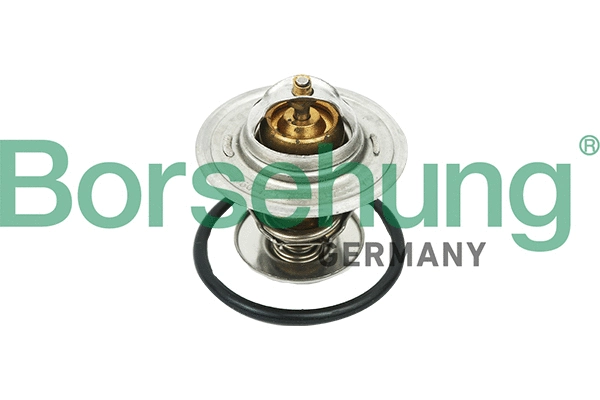 Thermostat, coolant (B18268)