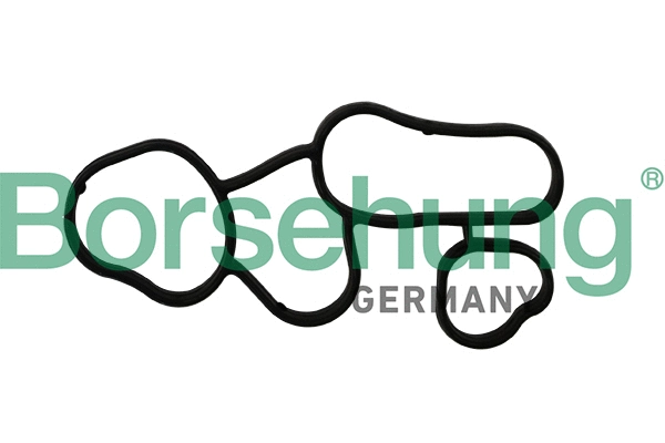 Gasket, oil filter housing (B10621)