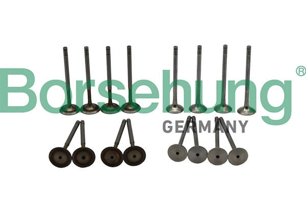 Valve Kit, intake/exhaust valve (B18138)