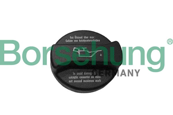 Sealing Cap, oil filler neck (B10668)