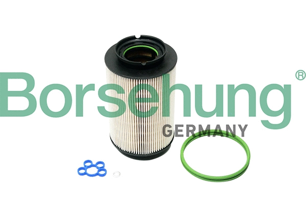 Fuel Filter (B10550)