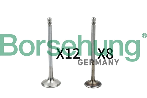 Valve Kit, intake/exhaust valve (B18635)