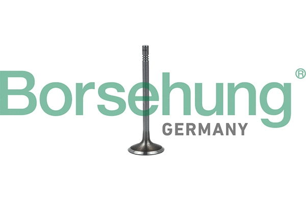 Intake Valve (B19023)