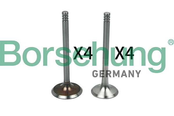 Valve Kit, intake/exhaust valve (B18641)