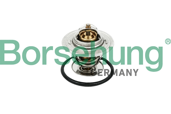 Thermostat, coolant (B18258)