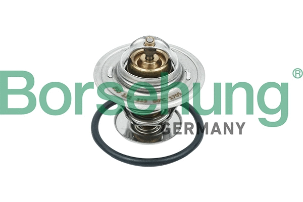 Thermostat, coolant (B18234)
