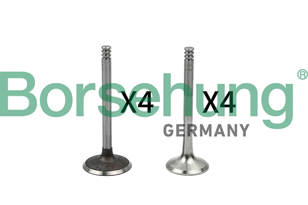 Valve Kit, intake/exhaust valve (B18766)