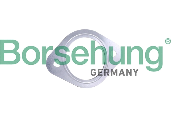 Seal Ring, exhaust pipe (B10656)