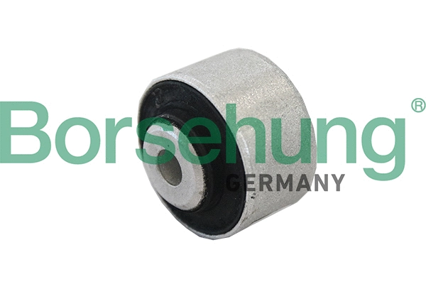 Mounting, control/trailing arm (B19194)