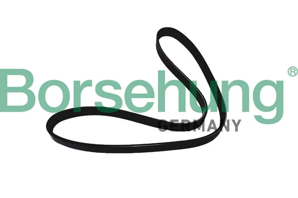 V-Ribbed Belt (B12386)