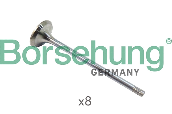 Intake Valve (B10322)