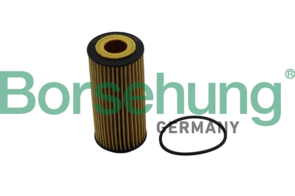 Oil Filter (B10511)