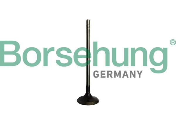 Intake Valve (B10328)