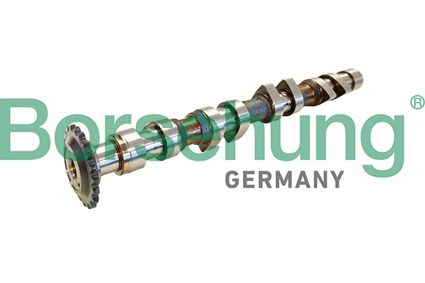 Camshaft (B11314)