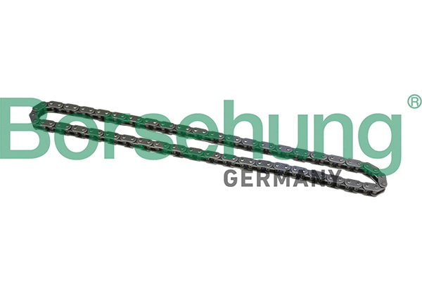 Timing Chain (B1C021)