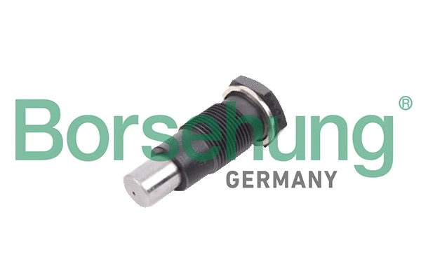 Tensioner, timing chain (B1T005)