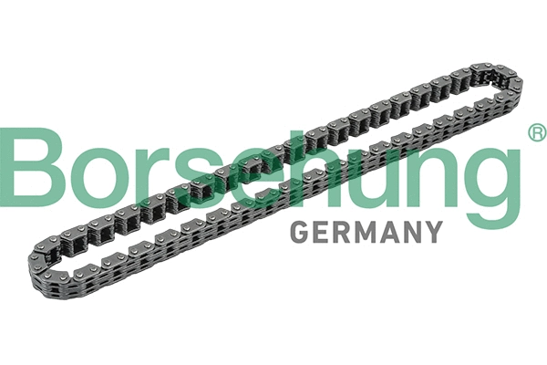 Timing Chain (B1C015)