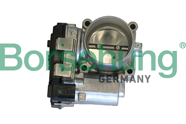 Throttle Body (B19290)