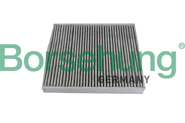 Filter, cabin air (B10534)