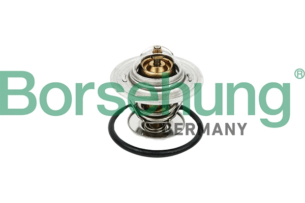 Thermostat, coolant (B18256)