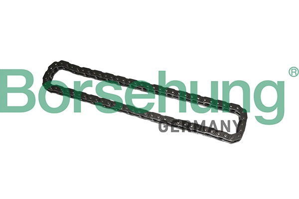 Timing Chain (B1C022)