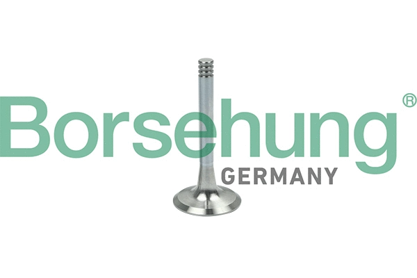 Exhaust Valve (B19002)