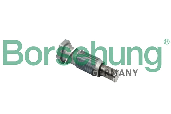 Tensioner, timing chain (B1T002)