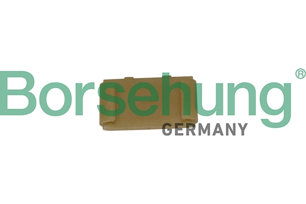 Guide, timing chain (B1G043)