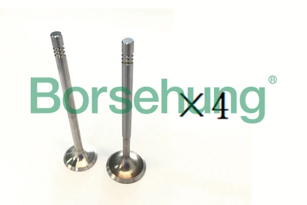 Valve (B18194)