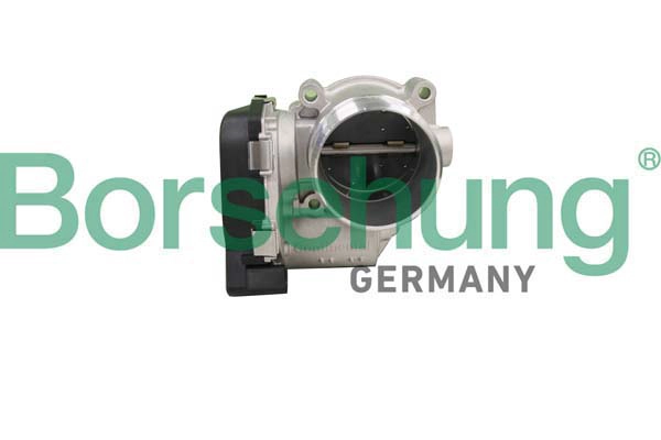 Throttle Body (B11106)