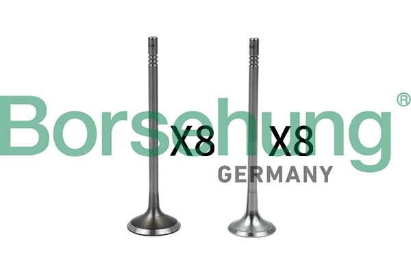 Valve Kit, intake/exhaust valve (B18633)