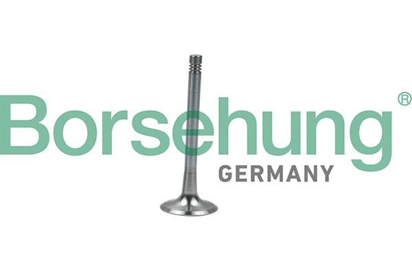 Exhaust Valve (B19008)