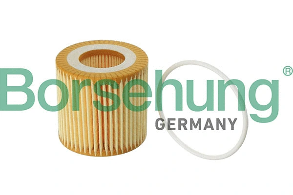 Oil Filter (B12219)