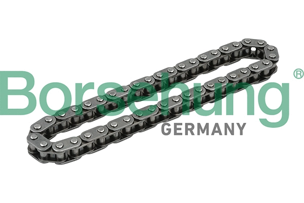Timing Chain (B1C014)