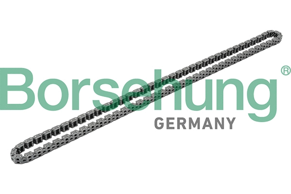 Timing Chain (B1C013)