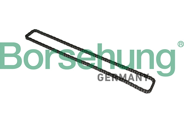 Timing Chain (B1C023)