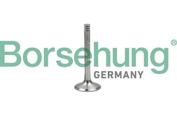 Exhaust Valve (B18997)