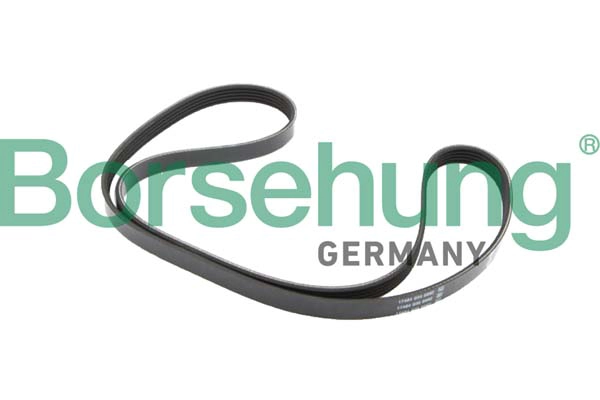 V-Ribbed Belt (B12382)