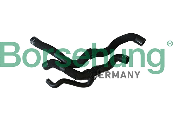Radiator Hose (B11974)