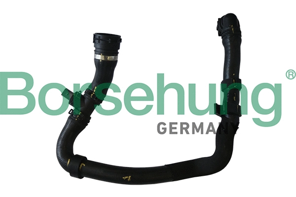 Radiator Hose (B11960)