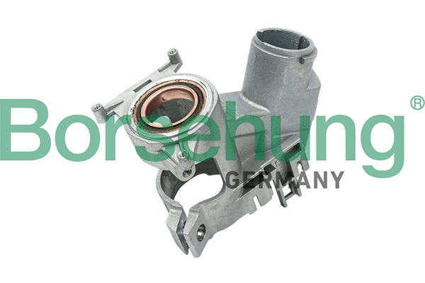 Steering Lock (B17981)