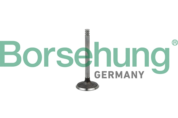 Intake Valve (B18998)