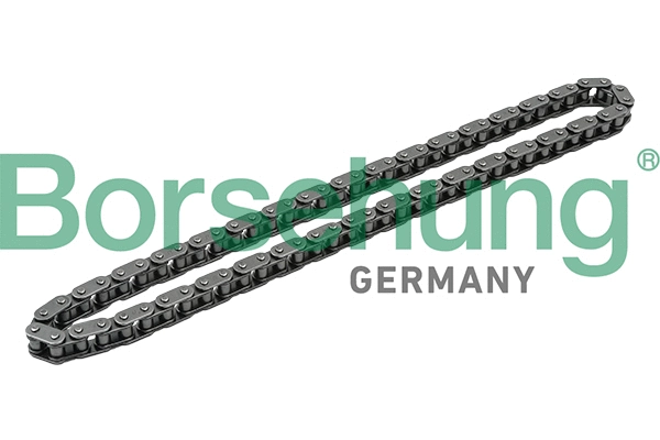 Timing Chain (B1C018)