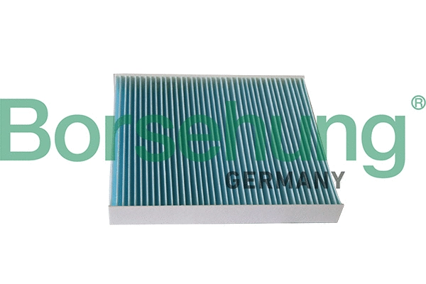 Filter, cabin air (B12217)