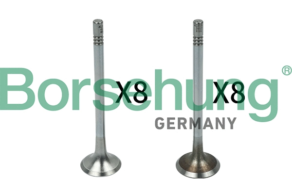 Valve Kit, intake/exhaust valve (B18142)