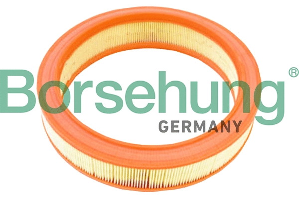 Air Filter (B18012)